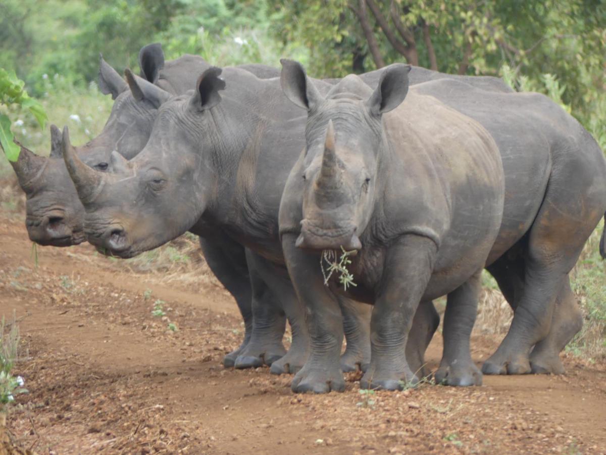 Ikweta Safari Camp Hotell Maua Eksteriør bilde
